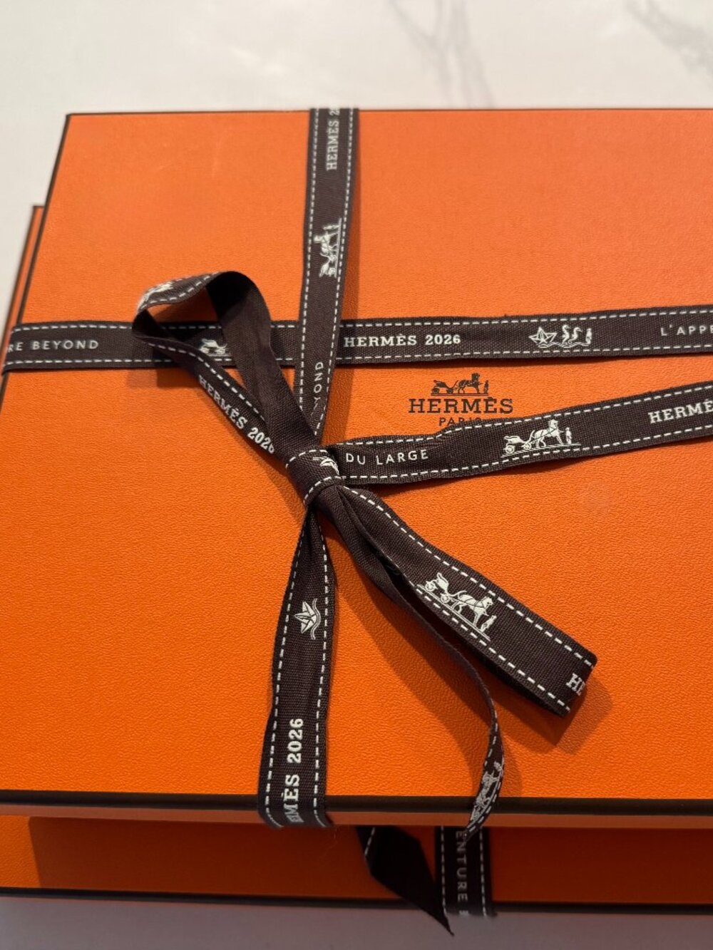 Hermes Tied Up in Knots change tray